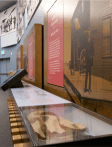 Photo of an exhibit in the Cody Museum